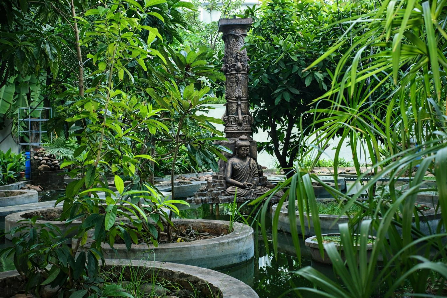 Lush Gardens